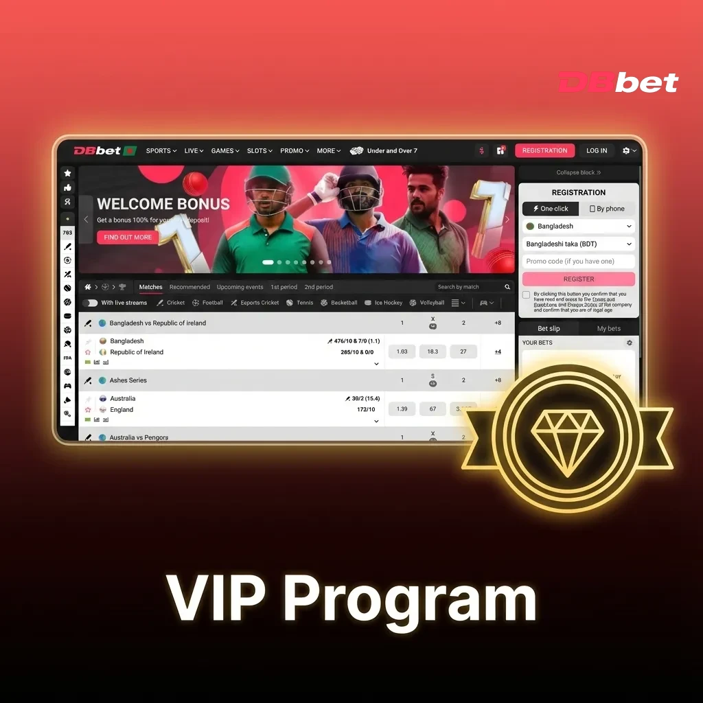 Tiered VIP loyalty program showing Bronze, Silver, Gold, and Platinum levels with increasing rewards and benefits.